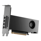 PNY NVIDIA RTX PRO 2000 Blackwell Graphic Card - 16 GB GDDR7 ECC - PCIe 5.0 x8
