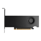 PNY NVIDIA RTX PRO 2000 Blackwell Graphic Card - 16 GB GDDR7 ECC - PCIe 5.0 x8